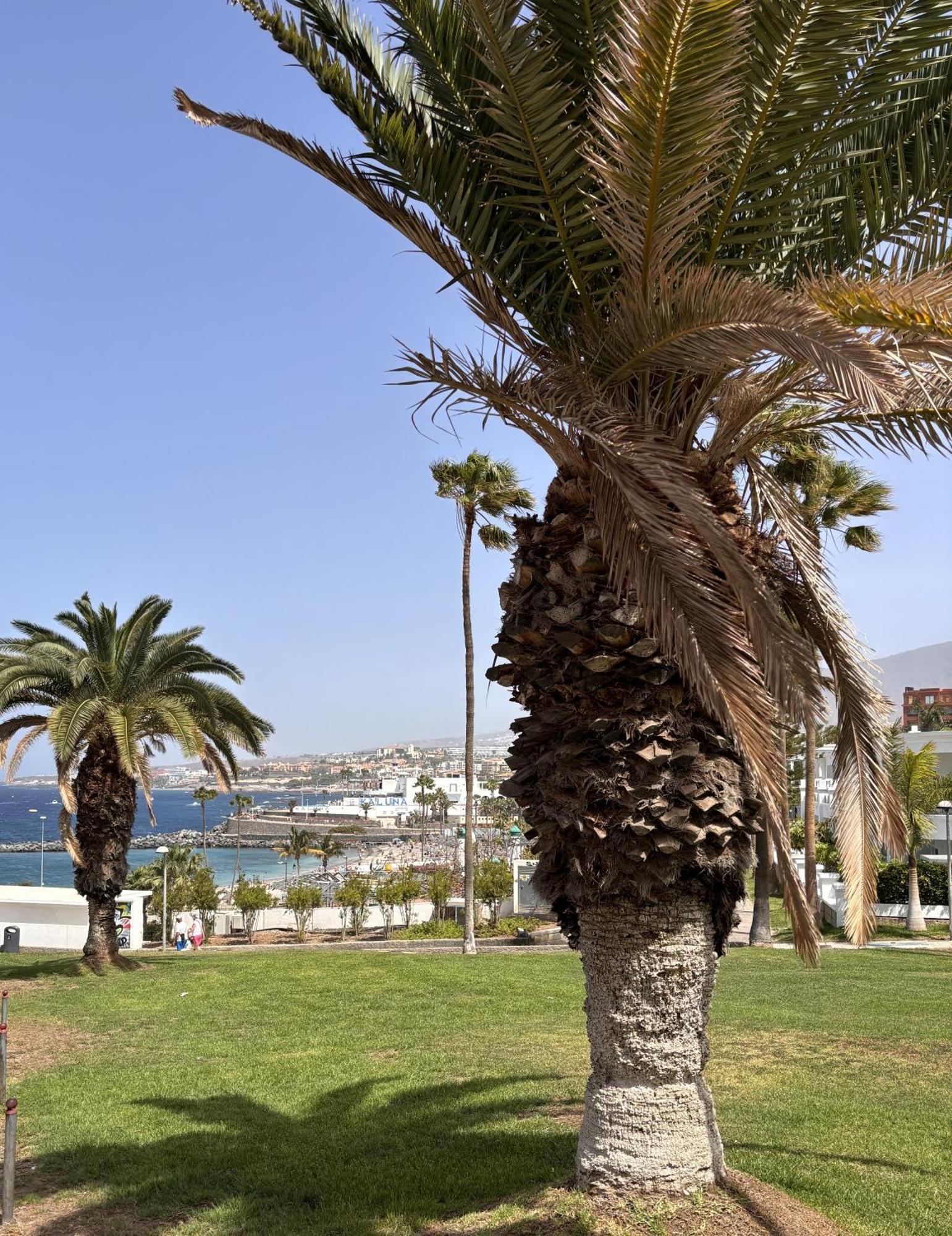 Ocean View Near The Beach Costa Adeje 外观 照片